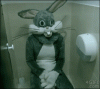 bathroombunny.gif