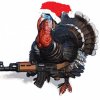 3 turkey.jpg