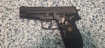 Sig 226 (8).jpg