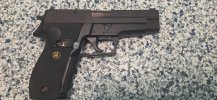 Sig 226 (1).jpg