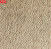 Naturs-Carpet-Everest-Sandy-Shore-16455-SW-LG.jpg