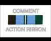 comment action ribbon.jpg