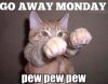 happy-monday-meme-cat.jpg